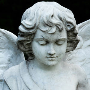 Meet your Posher, Dylan